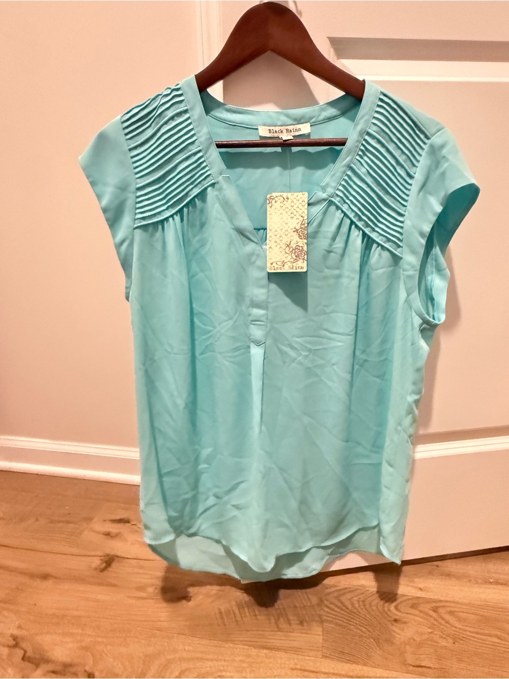 Black Rainn Pleated Cap-Sleeve Blouse in Aqua Blue